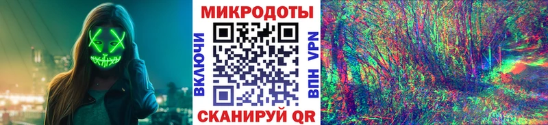 Псилоцибиновые грибы Psilocybe Кемерово