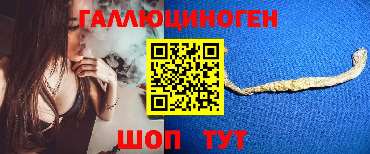 Галлюциногенные грибы Psilocybe Кемерово